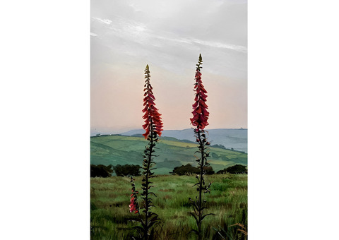 Магия, любая помощь