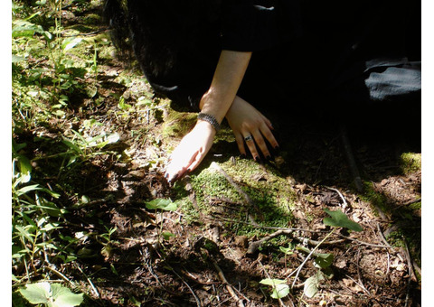 Ритуалы | прорицания | защиты | диагностики