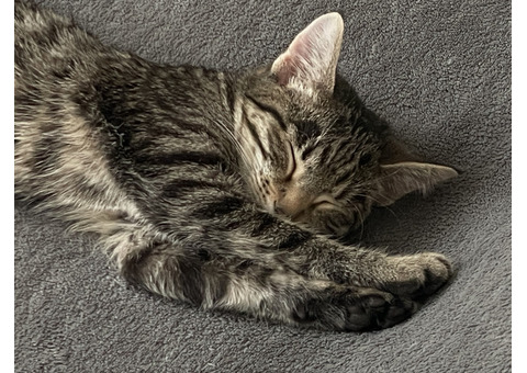 пространство для тех, кто верит в чудеса