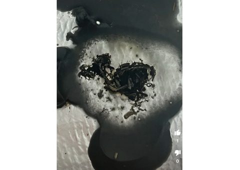 Сниму негатив