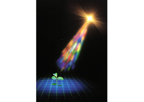 Магия, любая помощь